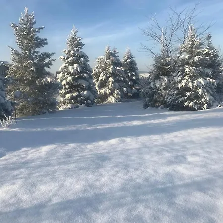 Na Wylacznosc Z Duzym Ogrodem Jablonka (Lesser Poland)