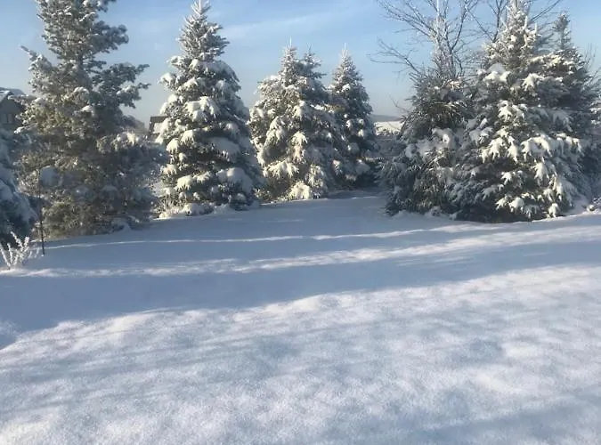 Na Wylacznosc Z Duzym Ogrodem Jablonka (Lesser Poland)